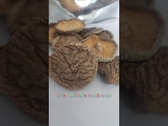 Funghi shiitake secchi piatti di prima qualità ricchi di proteine