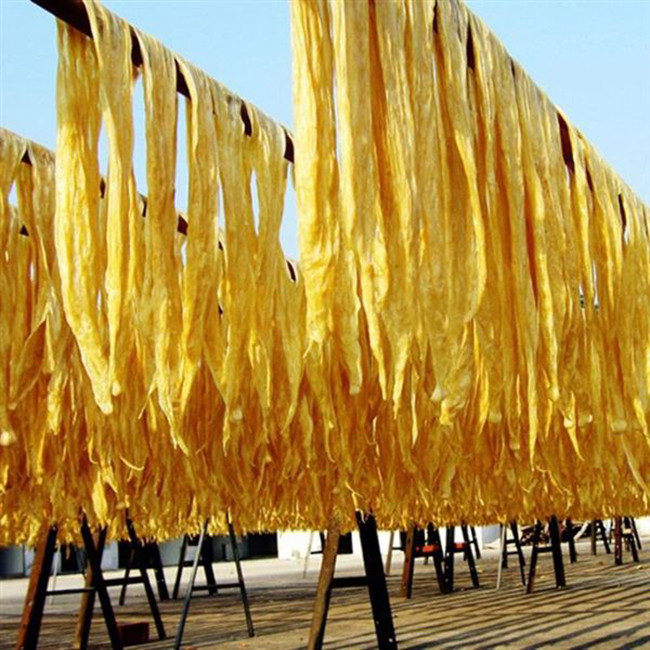 Fagioli secchi gialli brillanti bastoncino di zucca Fu Zhu Proteina fonte Cartone confezionato certificato ISO / HACCP