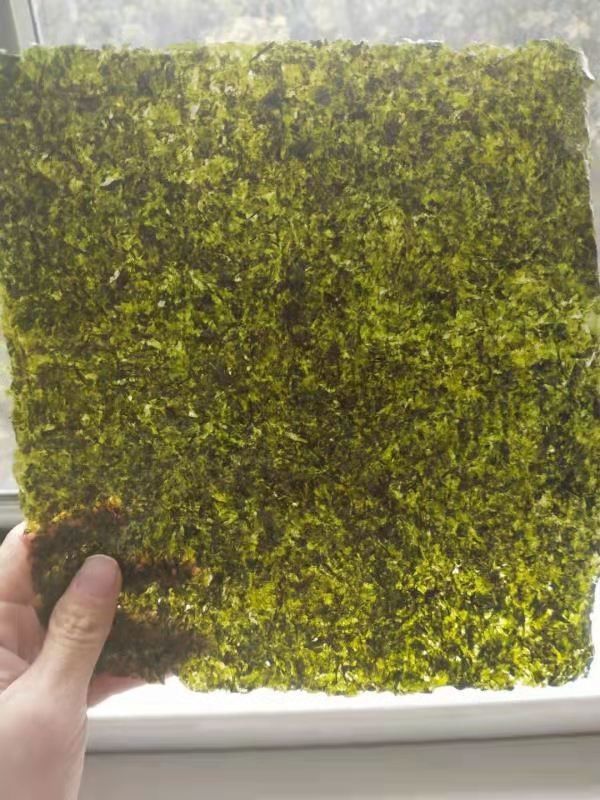 Avvolga gli strati dell'alimento 50 imballano l'alga arrostita asciutta Nori Dark Green