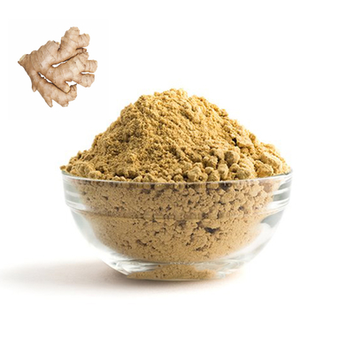 Umidità Ginger Powder asciutto organico 80 - di 10% maglia 100