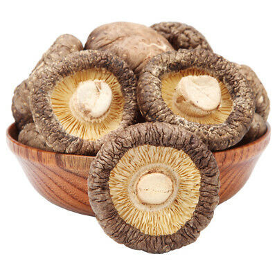 Funghi di shiitake secchi alta nutrizione Brown scuro per cucinare