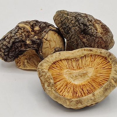 Mangi giornalieri Funghi shiitake secchi marroni conservati in un luogo asciutto