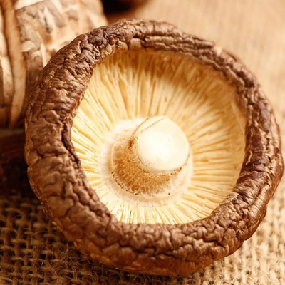 Funghi Shiitake secchi ad alto contenuto proteico con sapore e consistenza a funghi