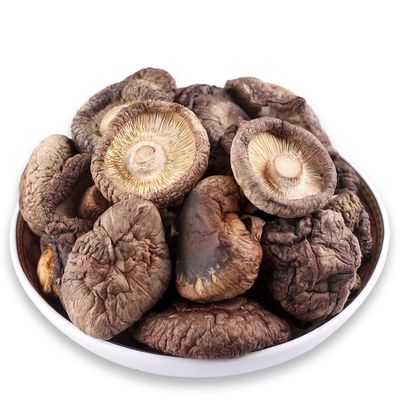 Forme piatte funghi marroni essiccati ricchi di proteine