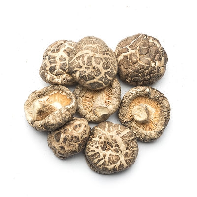 Funghi Shiitake piatti e essiccati versatili per la cucina
