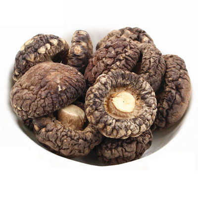 Funghi Shiitake marroni disidratati e piatti con profumo di fungo intenso