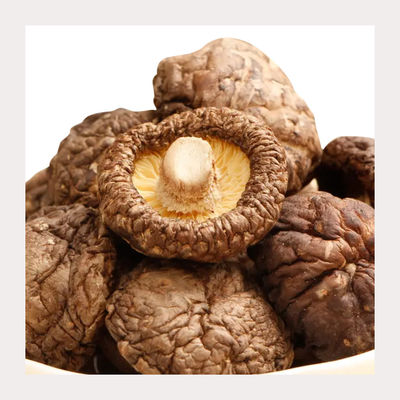 Funghi Shiitake secchi di consistenza media con consistenza secca
