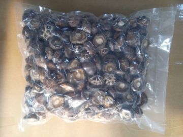 Umidità secca sana del fungo di shiitake 11% nessun odori stranieri